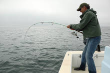 fly fishing sanibel island bait boat