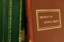 the use of national forests book