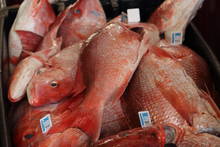 red snapper at market