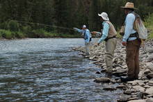 Shoshone river fly fishing