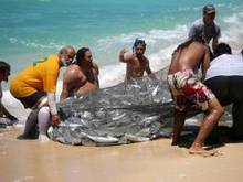 Bonefish Netting in Hawaii