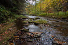Cedar Run