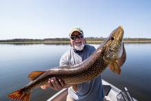 big pike - reindeer lake - saskatchewan