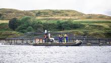 Salmon farm in Scotland