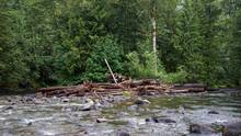 Logjam on the Salmon River, OR 