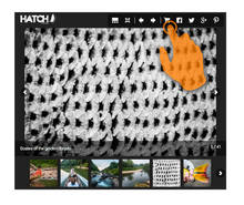 New hatchmag Photo Galleries