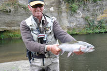 New Zealand rainbow trout.