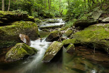 PA Wild Trout Stream