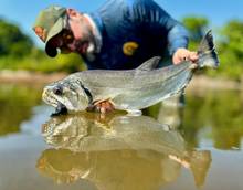 payara fly fishing