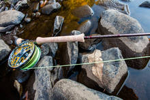 Shadow Fly Fishing Warrior 7 wt Fly Rod