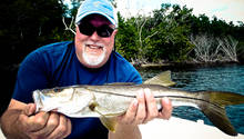 Florida Snook