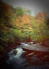 Fly Fishing Southern Appalachians