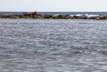 Belize Tailing Bonefish