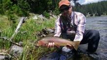 yellowstone cutthroat