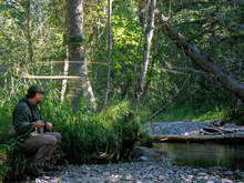 freestone trout stream Montana