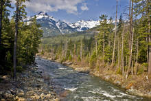 Trinity River in California