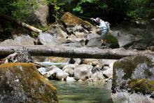 walking a log fly fishing