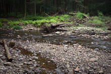 A native brook trout stream in Pennsylvania's natural gas country.