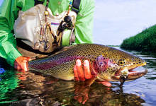 Kamchatka Fly Fishing - Rainbow Trout