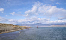 Chasing Pyramid Lake's Lahontans