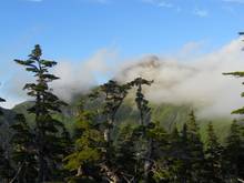 Tongass national Forest