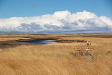 tierra del fuego pastureland