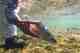 Photo: Chad Shmukler rainbow trout underwater