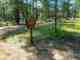 Dispersed camping in the Cocoino National Forest (photo: USFS). Dispersed camping in the Cocoino National Forest