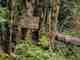 Photo: Gerry Tomasen private property no trespassing sign