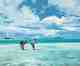 <p style="font-family: Rajdhani;font-weight: 400;text-transform: uppercase;">A Short Cast - Alphonse Island, The Seychelles<br>24 x 20 inches - oil on canvas</p><p>"One of the nicest things about painting fishing scenes are the places I get to visit to do my research. I could hardly say no when I was asked to join some friends and get reference material for a few commissions."</p> bob white - a short cast