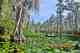 Okefenokee National Wildlife Refuge