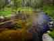 Photo: T. Cut Mecan River Wisconsin