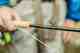 sage sonic fly rod