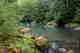 Photo: BLM / cc2.0. fly fishing molala river