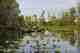 okefenokee swamp
