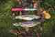 Photo: Tom Hazleton cleaned wild brown trout