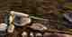orvis recon 2 fly rod