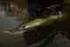Photo: Matt Reilly musky