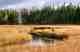 Photo: John Juracek fly fishing short cast