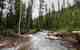 A scene from Utah's Uintas (photo: Allison Niccum). Uinta Mountains