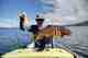 banana on a boat myth