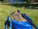 Photo: David N. McIlvaney. the ikea frakta bag