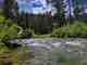 idaho cutthroat trout stream