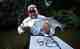 An Everglades baby tarpon (photo: Dan Decibel). everglades baby tarpon