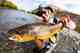 patagonia brown trout