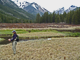 Trout and Salmon Headwater Stream