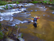 California's McCloud River