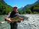 New Zealand Brown Trout