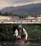 Two shots from the same section of the L.A. river (photos: RC Cone). fly fishing los angeles river