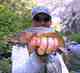 colorado river cutthroat trout